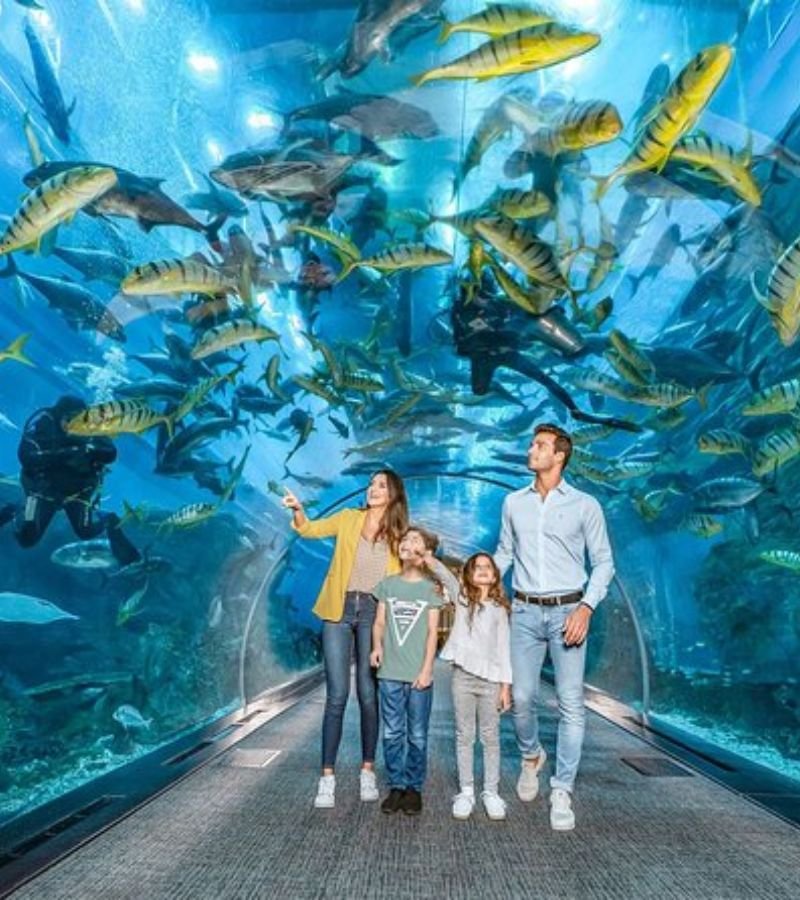 dubai aquarium