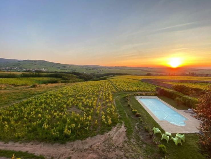 Au cœur des vignes Chénas du Beaujolais