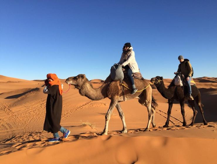 Sahara camel tours camp