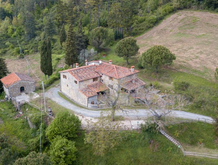 Fattoria di Cintoia