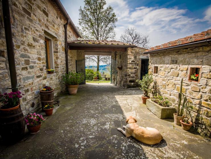 Agriturismo Podere il Palagio