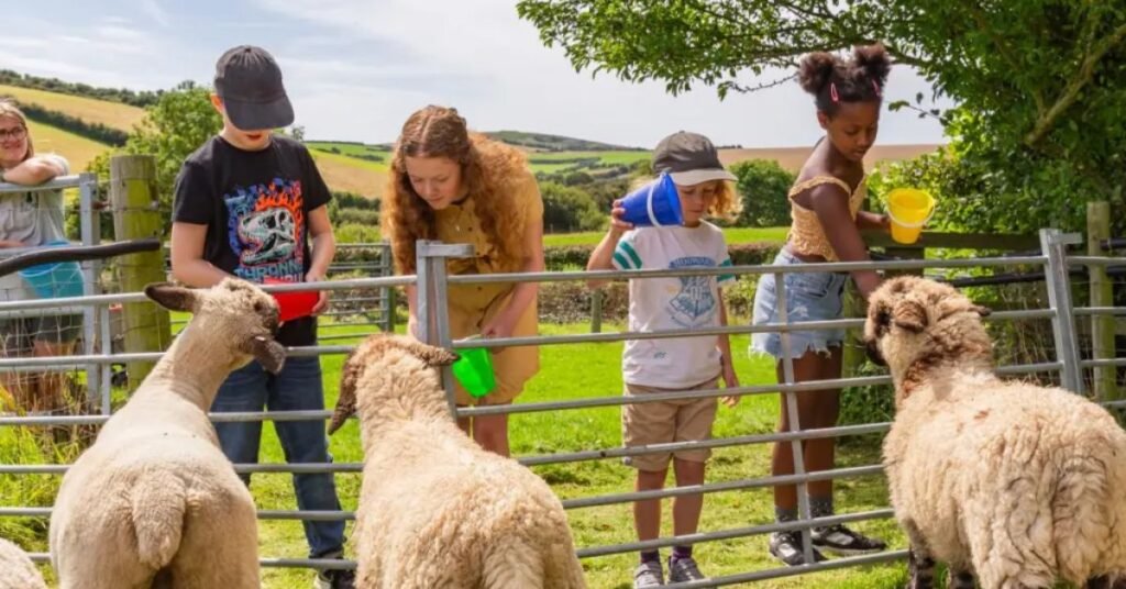 Farm Stay in the Countryside (outdoor vacation ideas with a toddler)