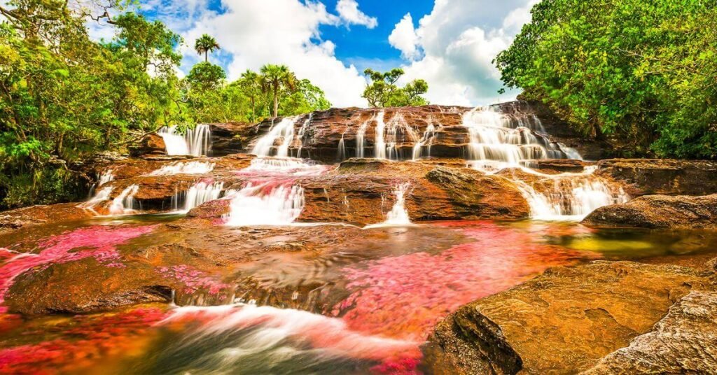 Caño Cristales (The Liquid Rainbow)